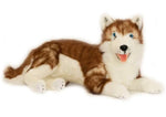 Cade the Red Husky with a Satun pocket 62cms