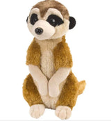 Cuddlekins Mini Meerkat 20cms