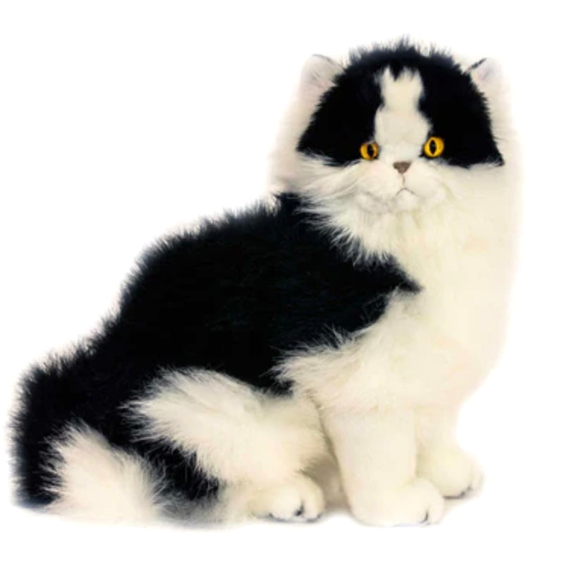 Angus the Piebald Cat 34cms