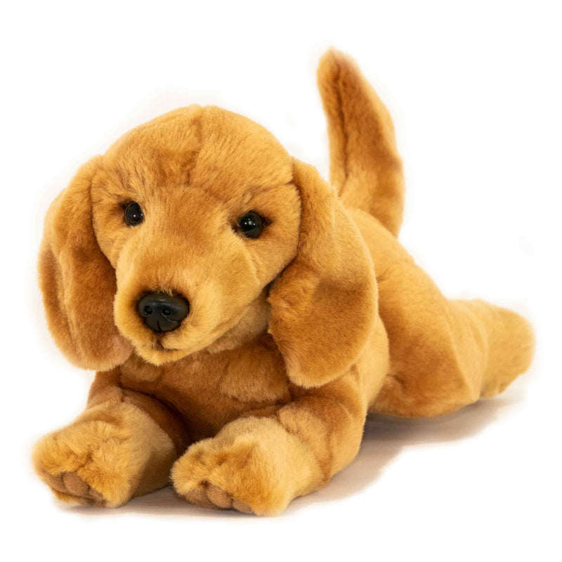 Bean - Red Dachshund puppy Size 30cm/12" - ON SALE