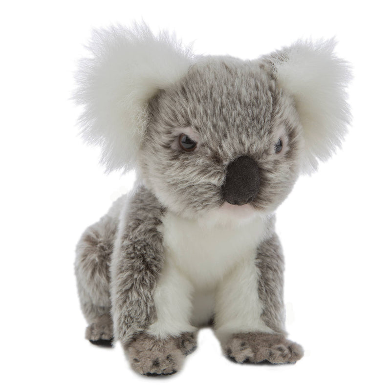 Petal - Koala Size 20cm/8"