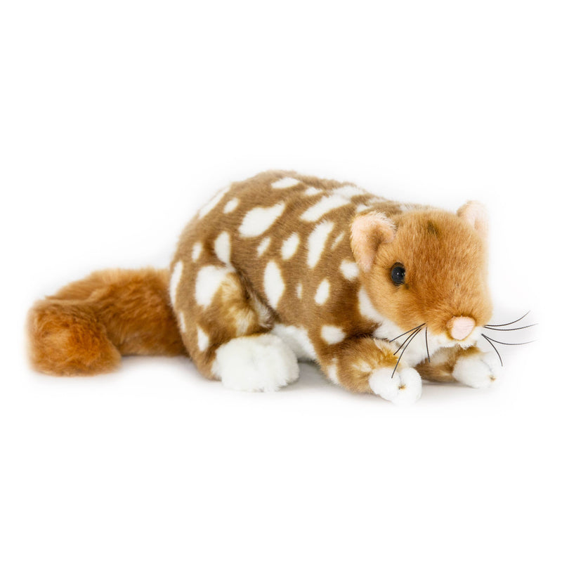 Spotty - Fawn Eastern Quoll Size 22cm/8.5"